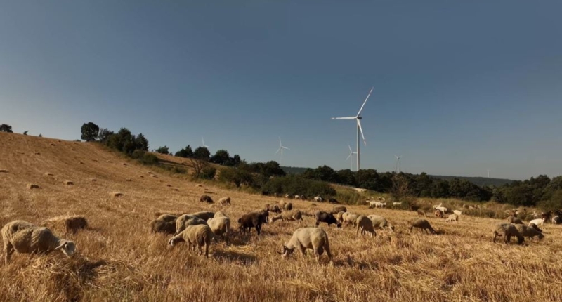 Galata Wind continued its growth in the first half of 2024